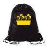 Polyester Cinchpack Thumbnail